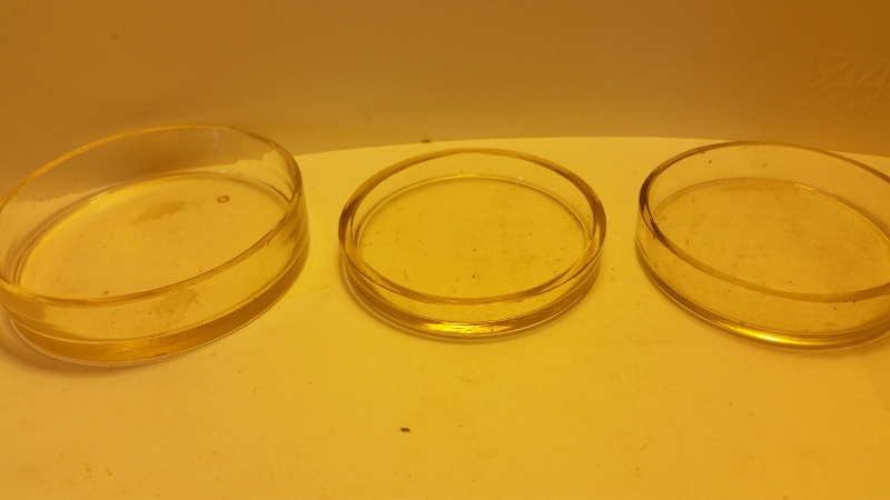 20151202_142832 (800x450).jpg