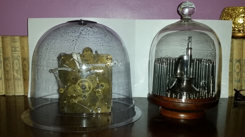 20160807_115649 (800x448).jpg