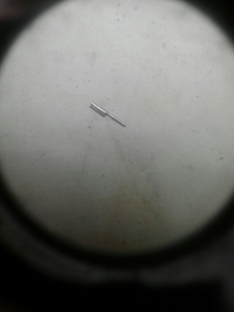 rps20160621_090150 (Copia).jpg