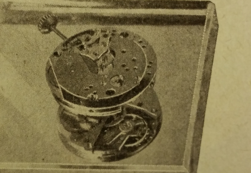 20170119_131840 (800x551).jpg