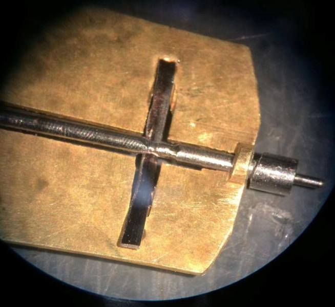 farfallina finita.jpg