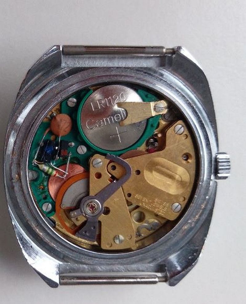 diantus electronic.JPG